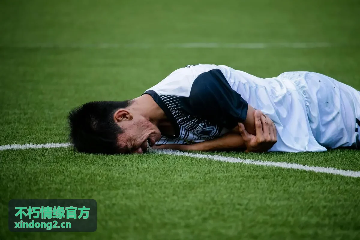 不朽情缘官方情缘故事栏目内容示意